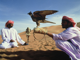 Rundresa på arabiska halvön
