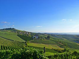Vigneti Italien