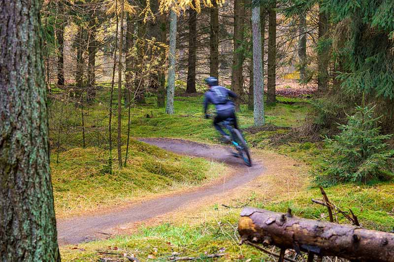 Snabb MTB cyklist i skogen