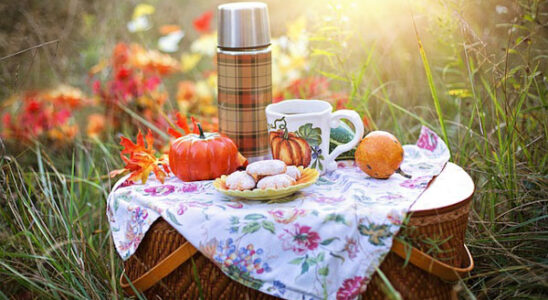 Picknick under hösten