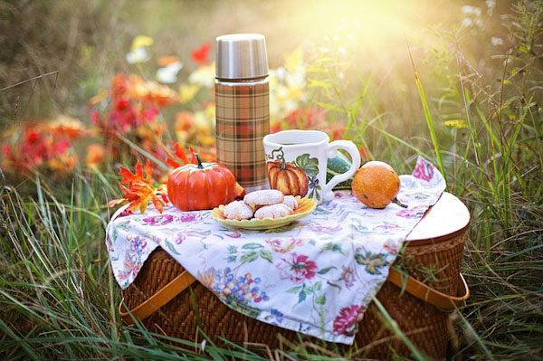 Picknick under hösten