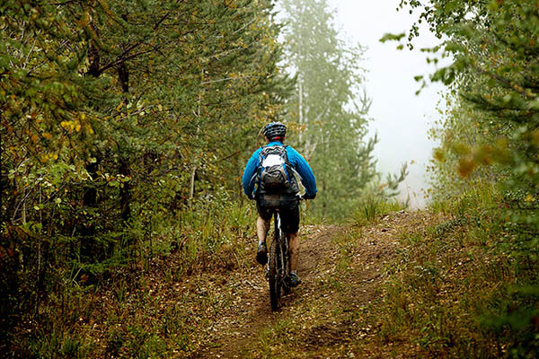 Mountainbiking i skogen
